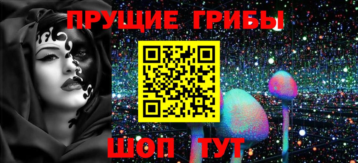 Галлюциногенные грибы Cubensis  Галлюциногенные грибы Psilocybe  Петрозаводск  Вход с VPN 